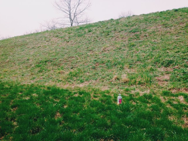 Processed with VSCOcam with c1 preset